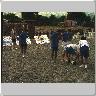 Dscn0179